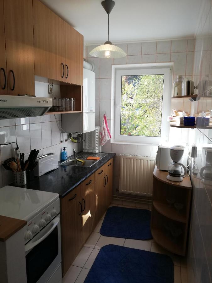 Apartament Langa Castan Apartment อาซูกา ภายนอก รูปภาพ